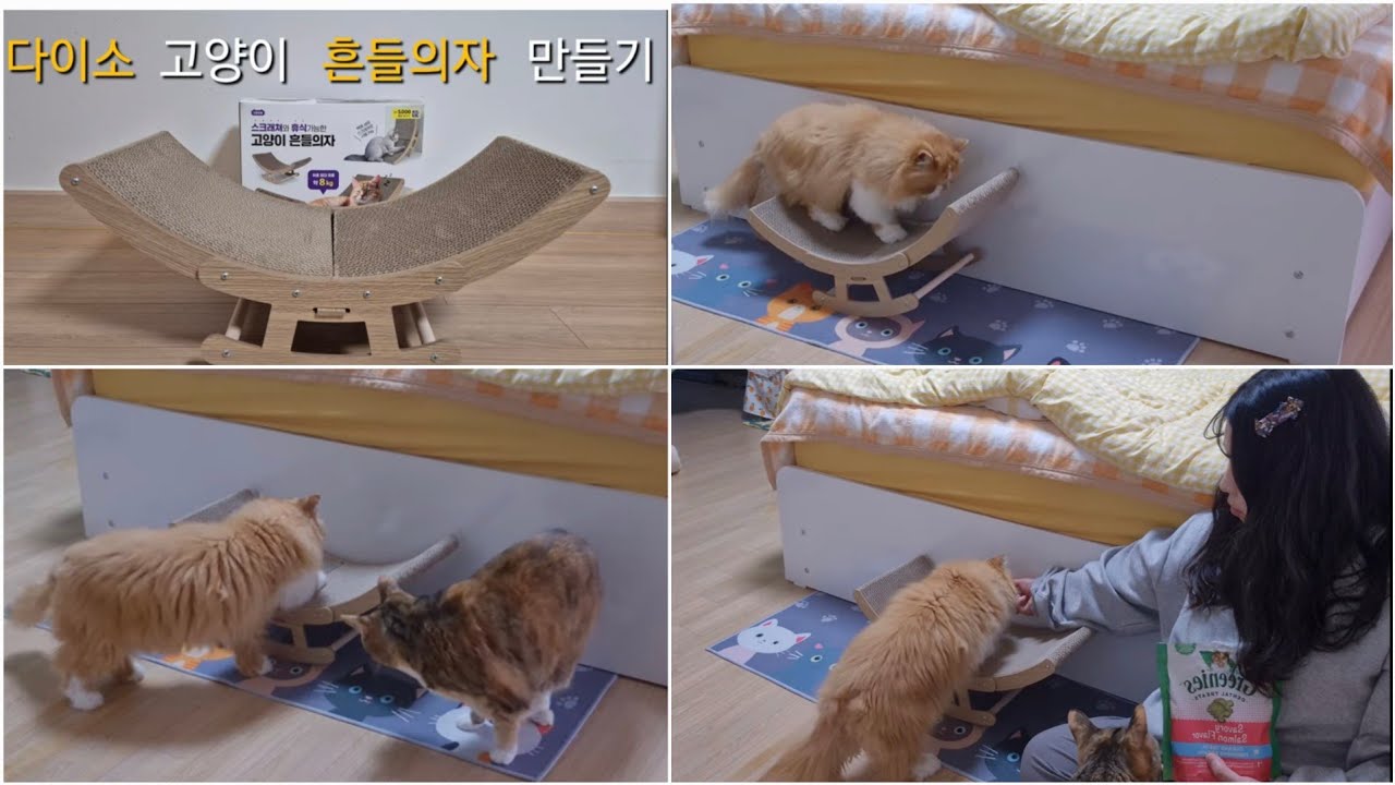 [지이해 vlog] 다이소 고양이  흔들의자 해먹 만들기 (feat. 그리니즈 이빨과자로 유인을 해보쟈!!)