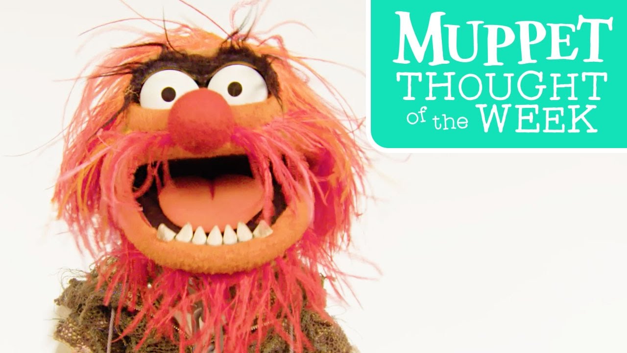 Muppet Thought of the Week feat. Animal | The Muppets
