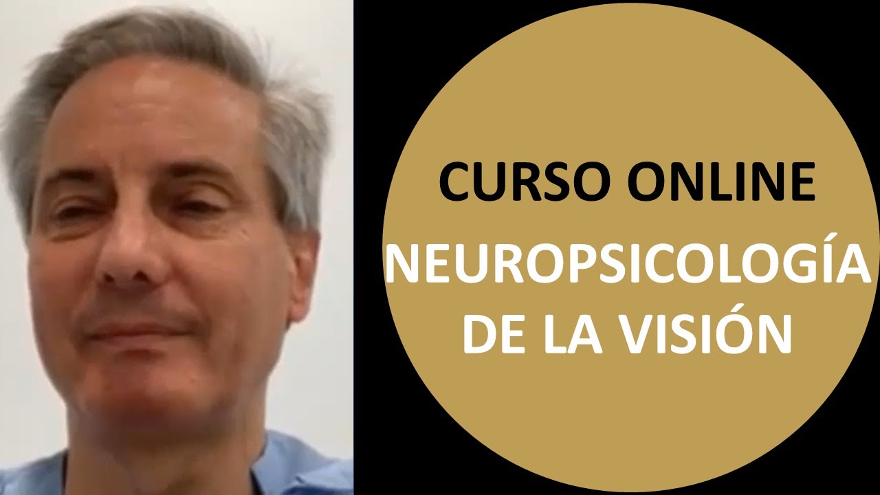 👨&zwj;🎓 Neuropsicolog&iacute;a de la vision: para optometristas