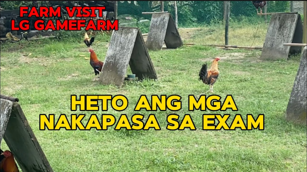 FARM VISIT SA LG GAMEFARM ( HALOS LAHAT AY NAKAPASA SA EXAM)