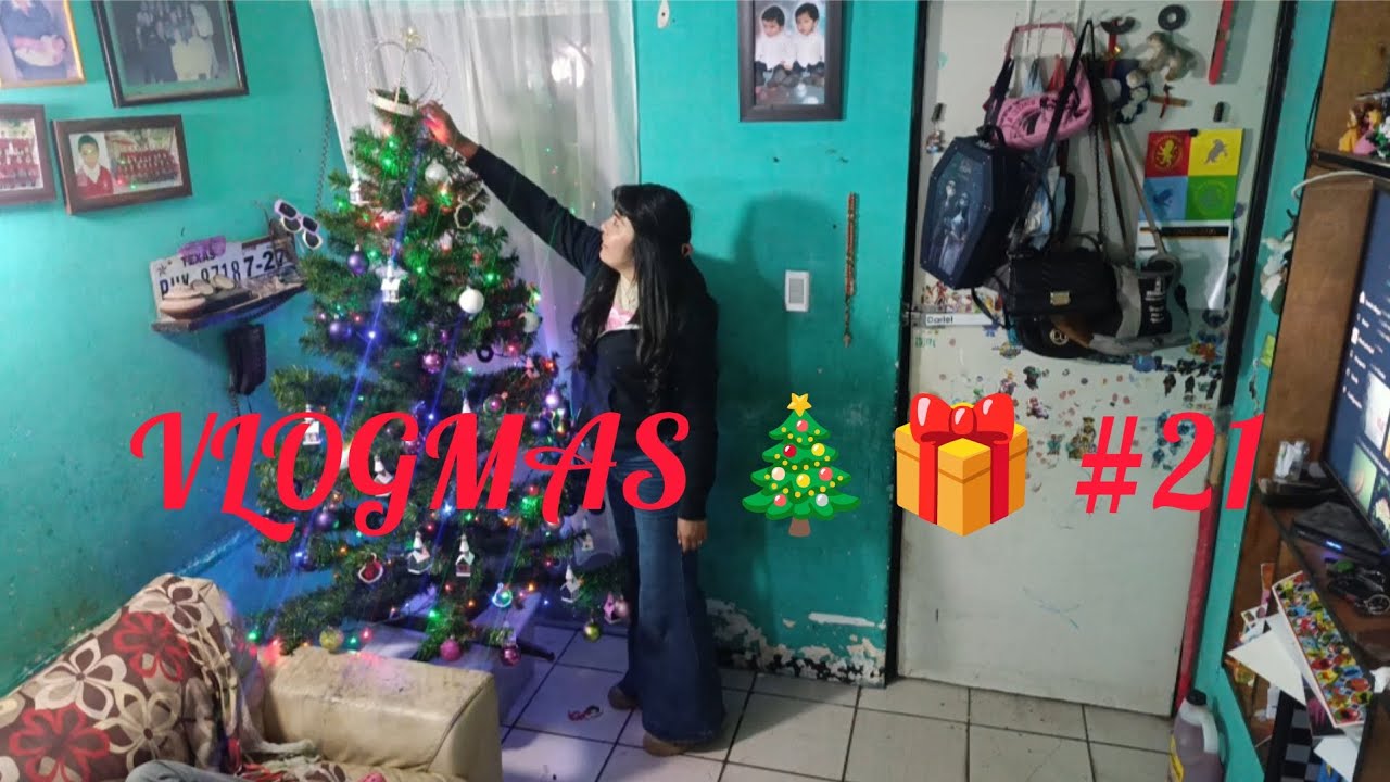 VLOGMAS 🎄🎁 /por fin pusimos el árbol de navidad 🎄🎁
