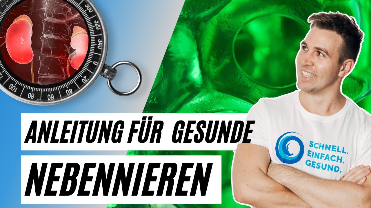 NEBENNIEREN stärken ▶️ eine Anleitung + Test [Einblick in den Mitochondrien Masterkurs]