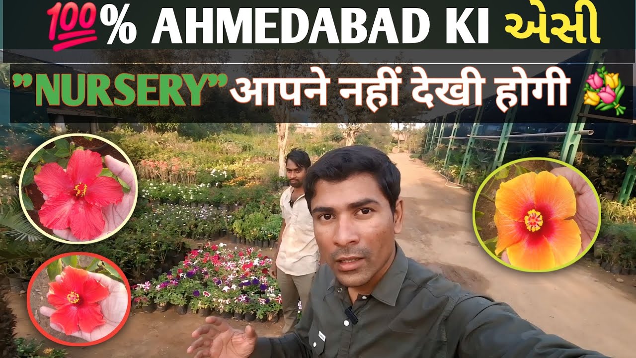💯% AHMEDABAD KI AESI NURSERY AAPNE NHI DEKHI HOGI 💐