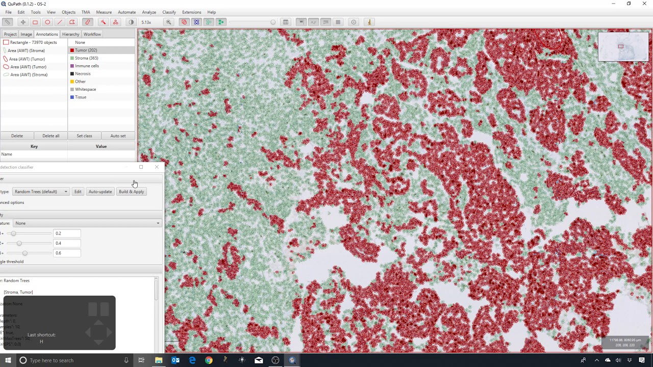 23 - More classifier suggestions
