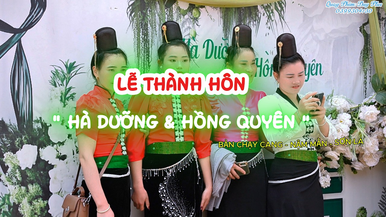 TOÀN CẢNH LTH 