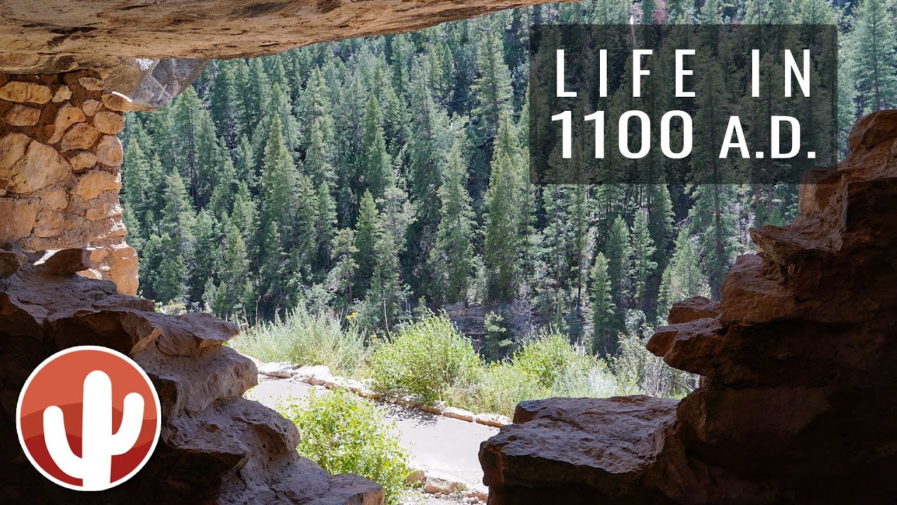 Descent into Walnut Canyon National Monument | Flagstaff, Arizona