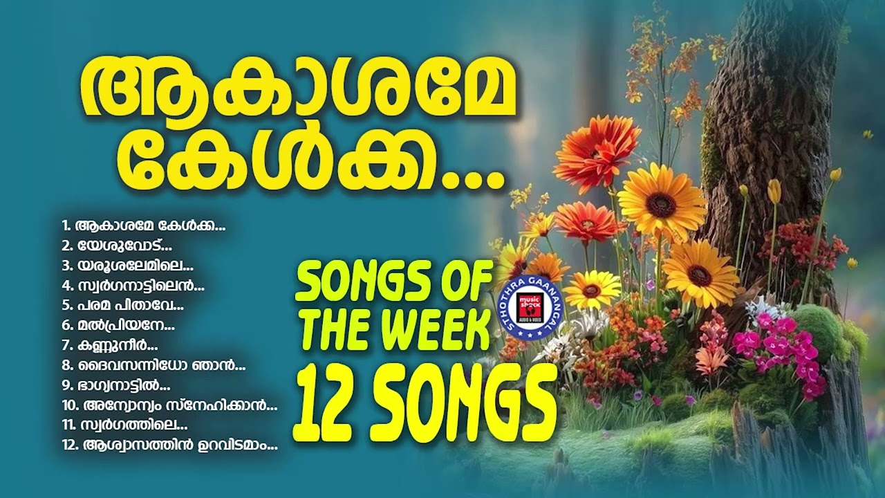 ബിനോയ് ചാക്കോ പാടിയ ആരും കേൾക്കാൻ കൊതിച്ച ക്രിസ്തീയ ഗാനങ്ങൾ | Sthothra Ganangal | Old Songs