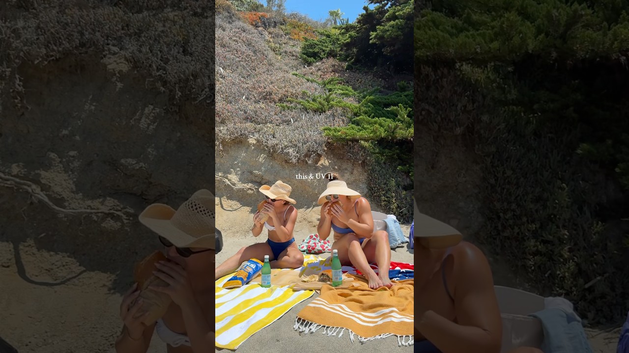 the perfect beach day 🤌🏼 no notes #picnic #beachday #sandwich