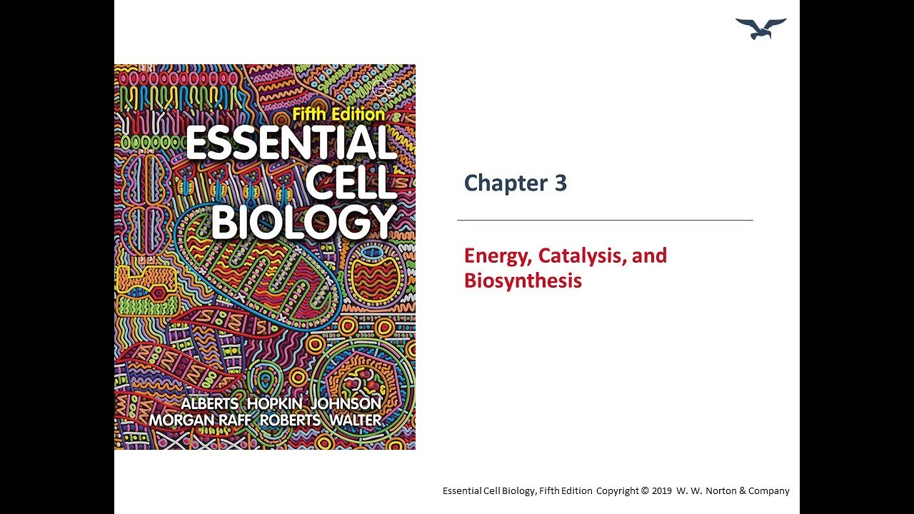 Energy, Catalysis & Biosynthesis