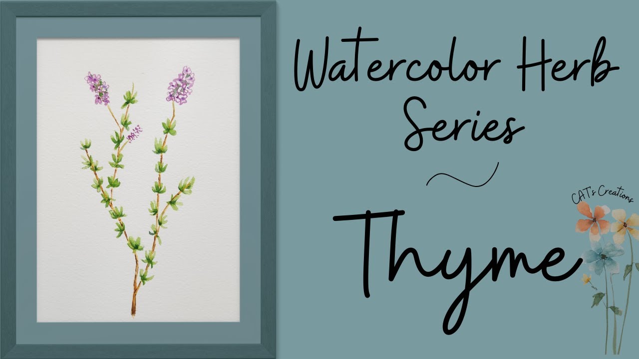 Watercolor Herbs - How to Paint Thyme