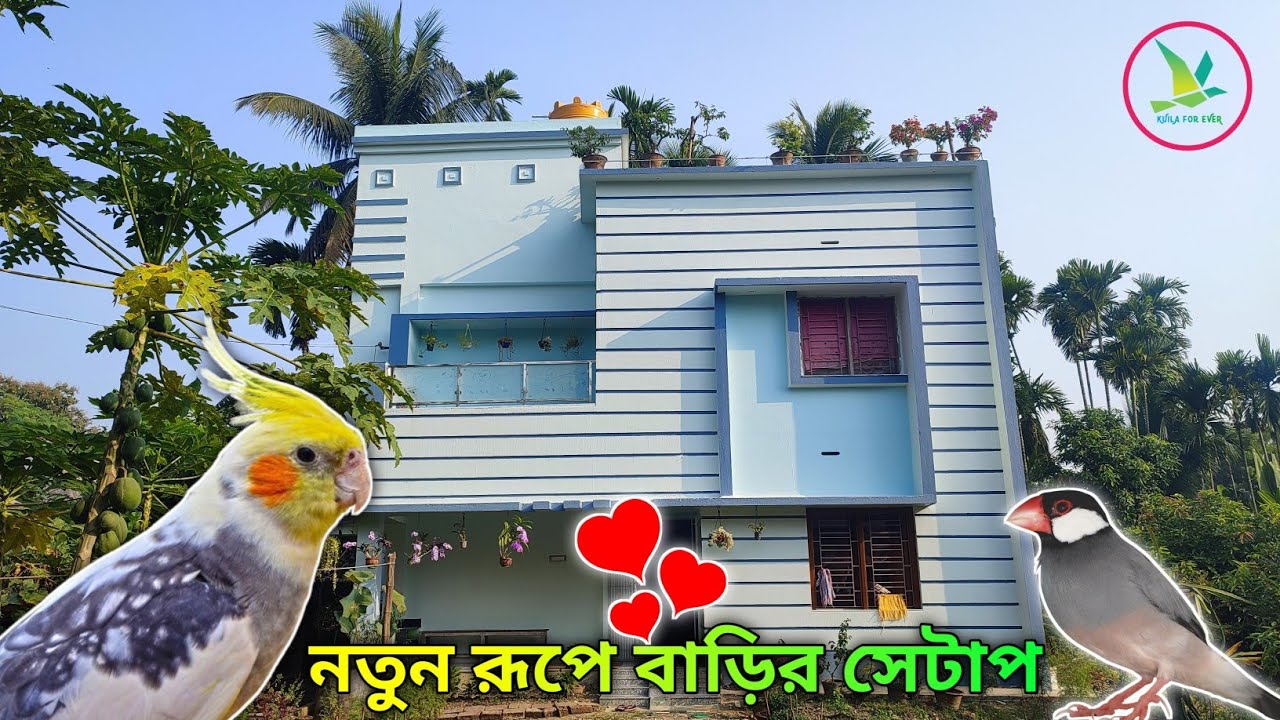 Our Exotic Birds Breeding Setup Information||KUILAFOREVER