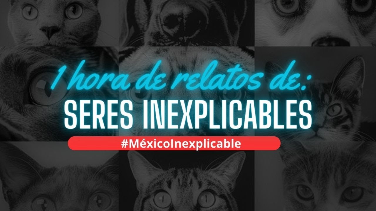 Especial 1 hora ! Seres Inexplicables RELATOS