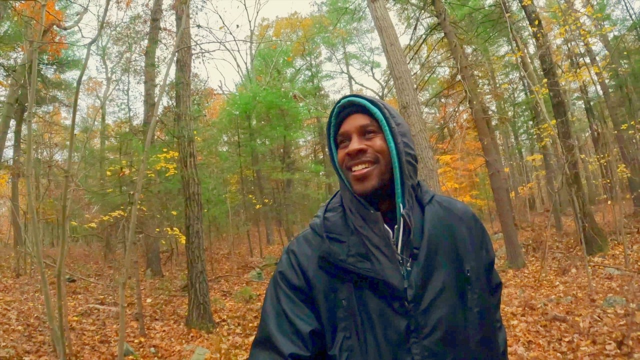 🌲 BREATHTAKING SPIRITUAL FOREST WILDERNESS ESCAPE  🙏