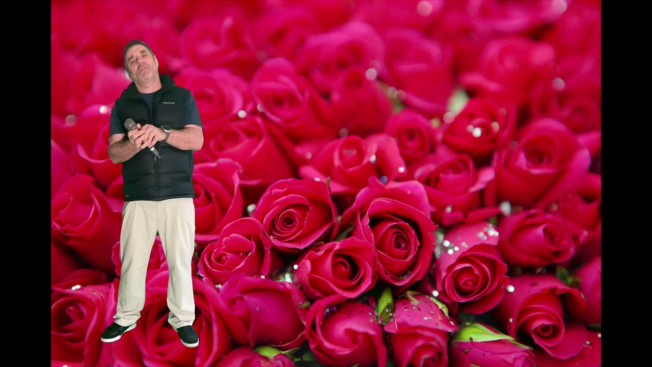 Bed of Roses - Original Artist: Bon Jovi (Cover Version)
