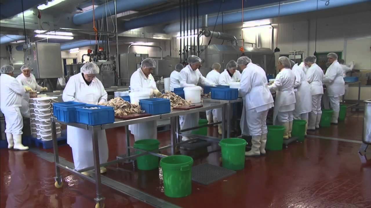 Fischereistandort Cuxhaven