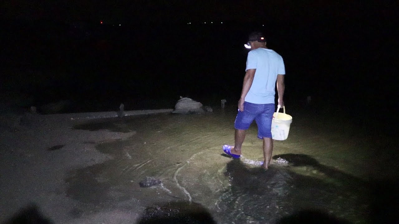 冷空气来了，老四等到最低潮水去私密地赶海，今天抓的都是大货