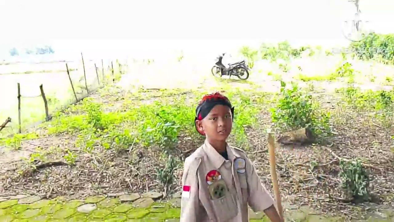 PETILASAN AJISAKA HOAK
