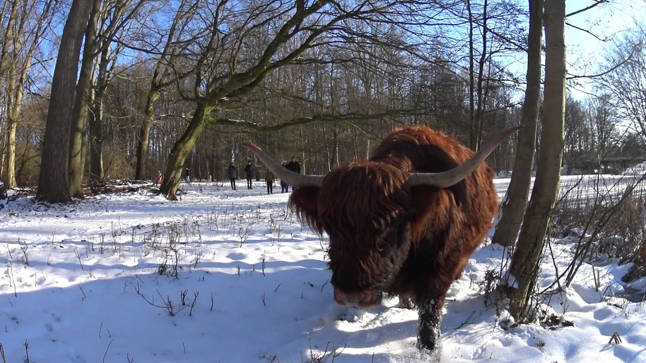 Amsterdamse Bos