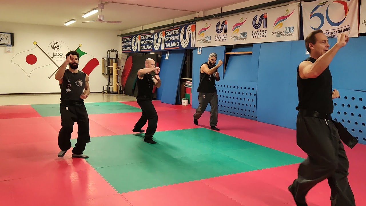 Kung-Fu - forma Tang-Lang Ti San Lu (3°forma di Mantide) #kungfu #kungfutradicional #kungfuworld
