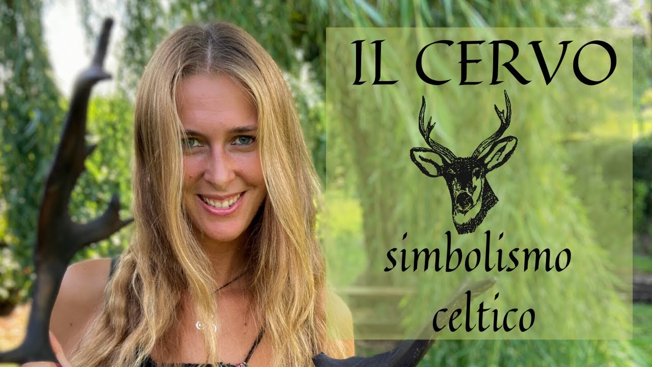 Il cervo: zoologia, archeologia, miti e leggende, simbolismo, animale guida #nesiamocelti