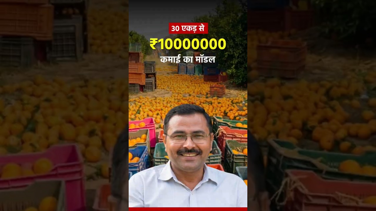 This #haryana Farmer Earns ₹1 Crore from #kinnow + #intercropping farming Model.