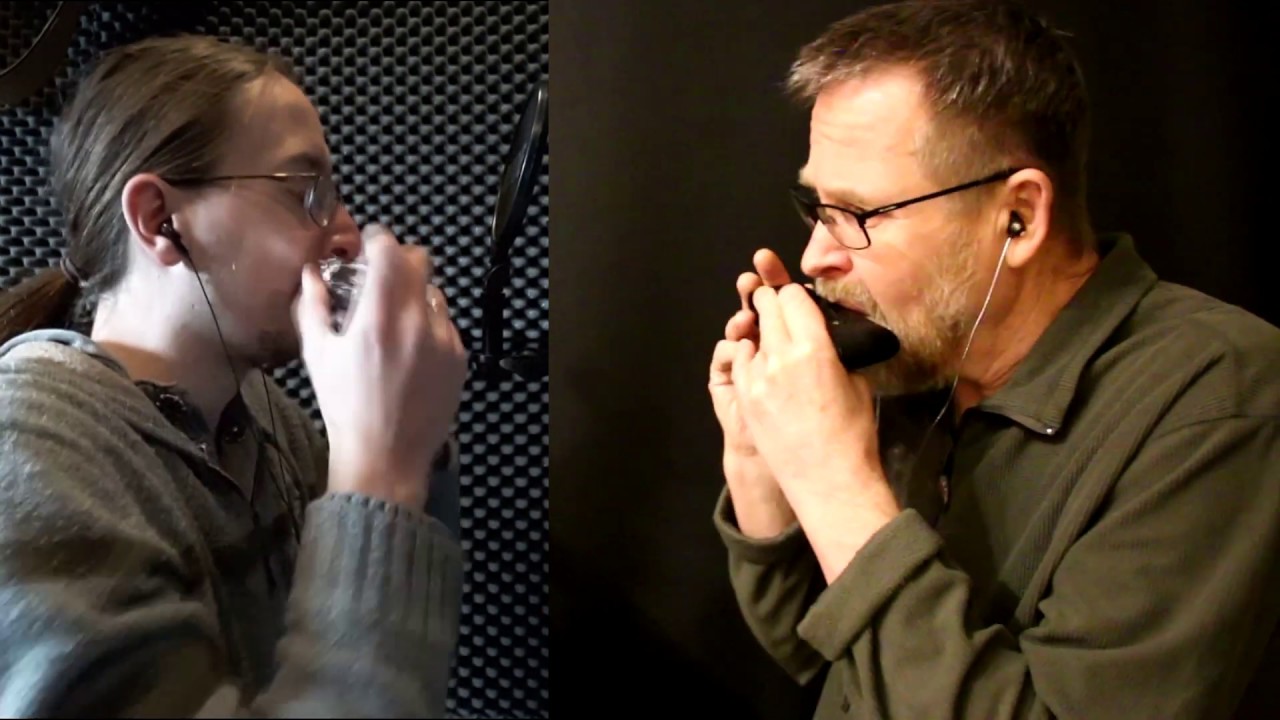 IRISH HARMONICA LOCKDOWN DUET - Tijn Berends & Brendan Power