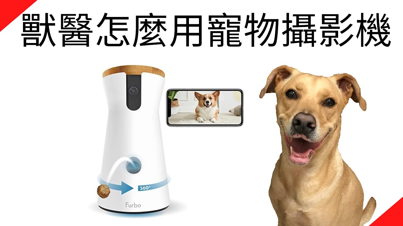 【Furbo狗狗攝影機-360度版】介紹 + 獸醫師怎麼用寵物攝影機