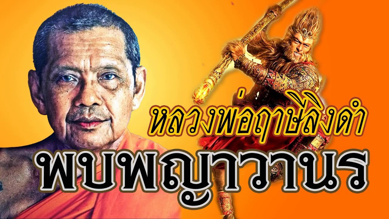 หลวงพ่อฤาษีลิงดํา - พบพญาวานร