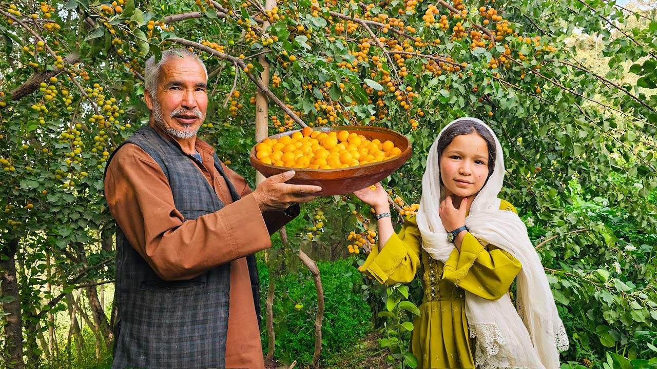 Tomato Rice, Garden Fruit, and Family Time — A Day in Bamyan