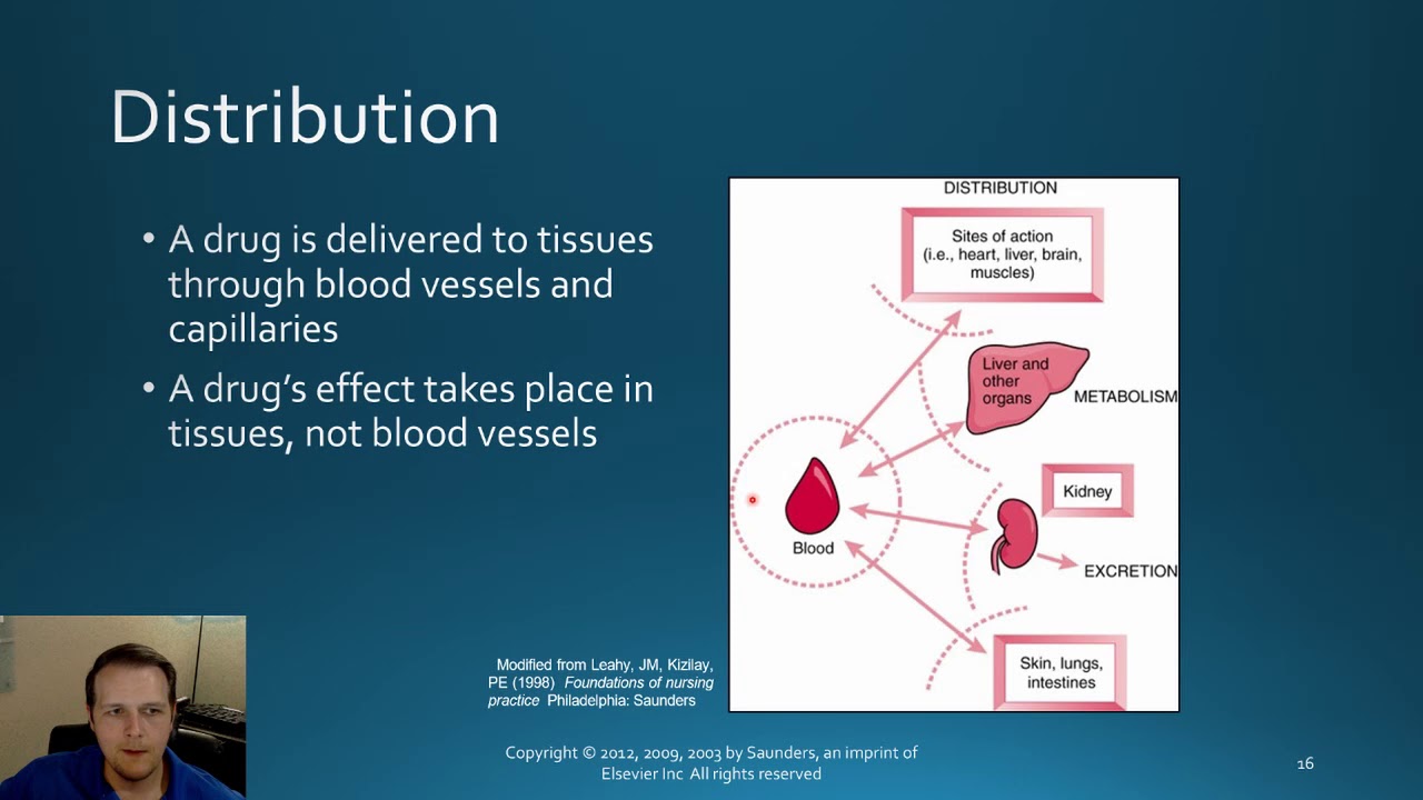 Intro to Pharm Chapter 2
