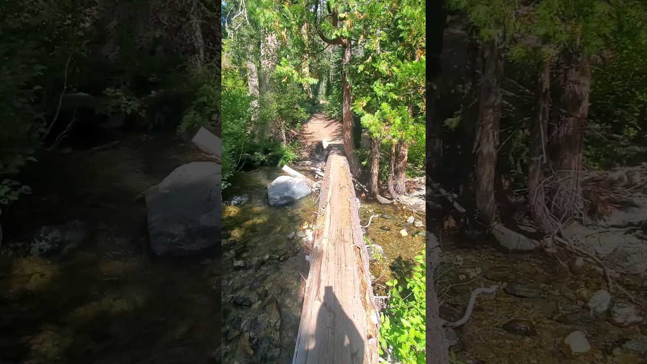 Over the river and through the woods  🏞🚶‍♂️🌲🌤 