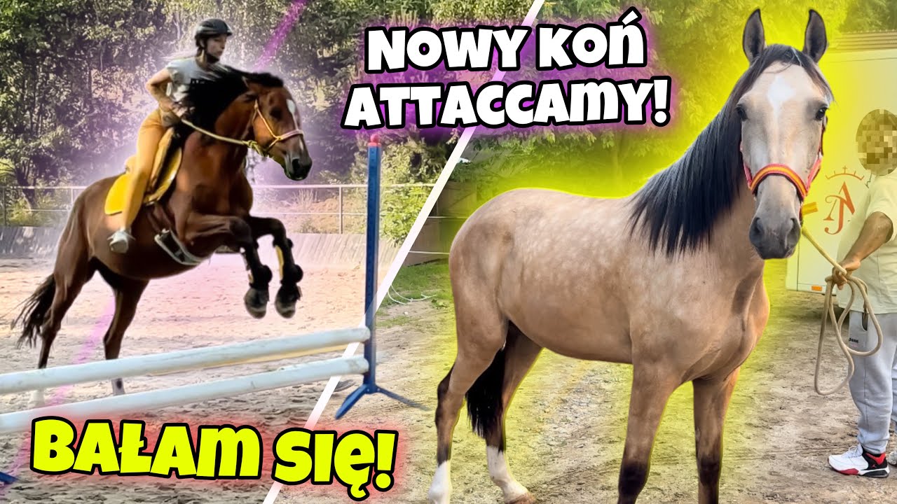 ANDALUZ W STAJNI PODOLIN! Nasz pierwszy skok na oklep!