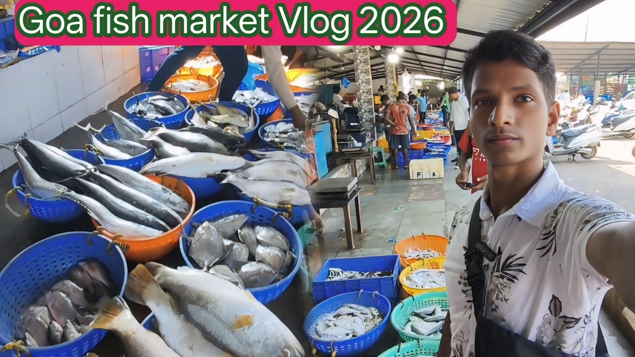 fish market vlog 2026 | Goa fish market video Machhali Bajar Goa 🐟 Bk paras vlog 