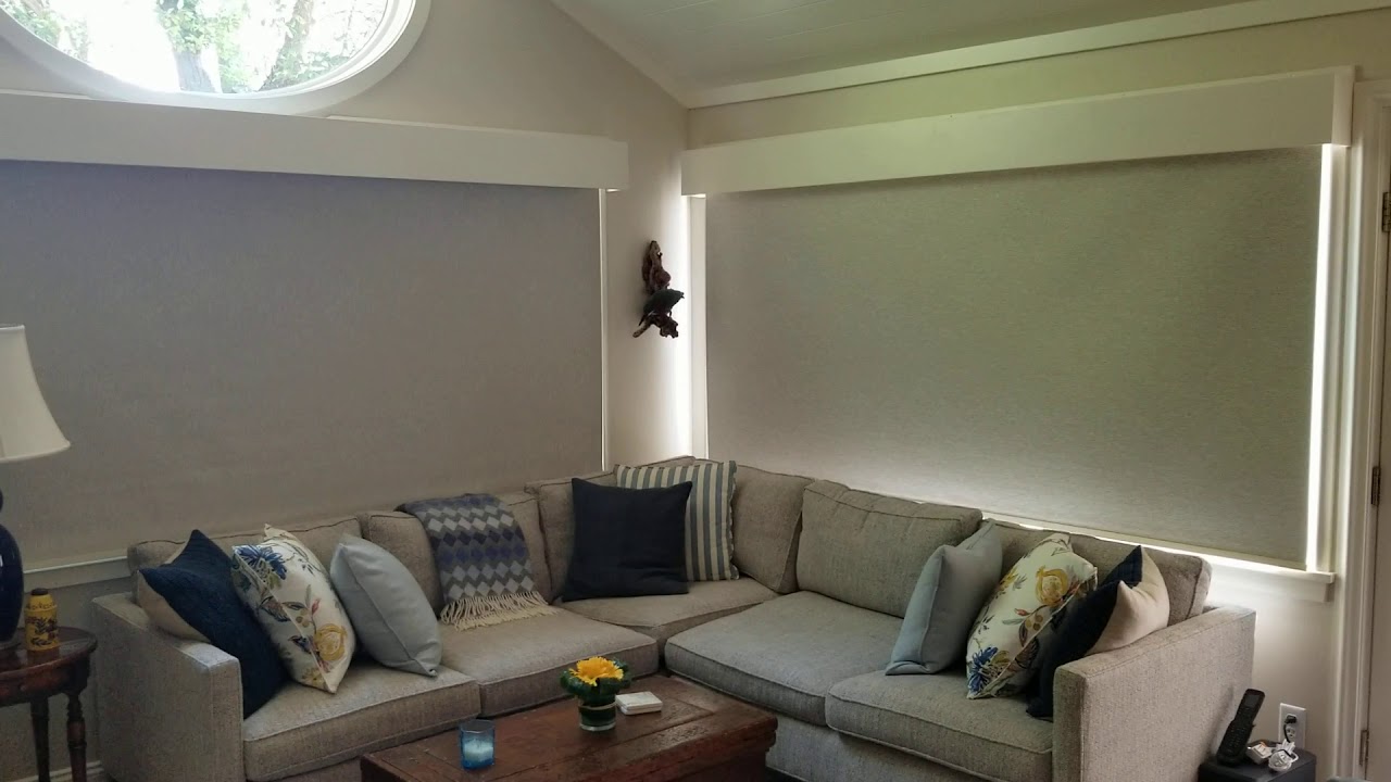 Draper Motorized Roller Shades