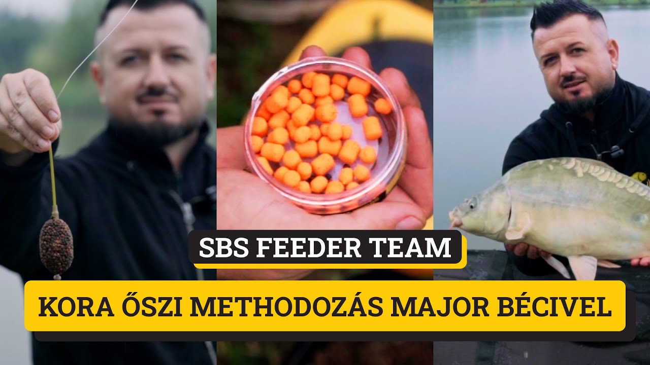 SBS Feeder Team - Kora őszi methodozás Major Bécivel