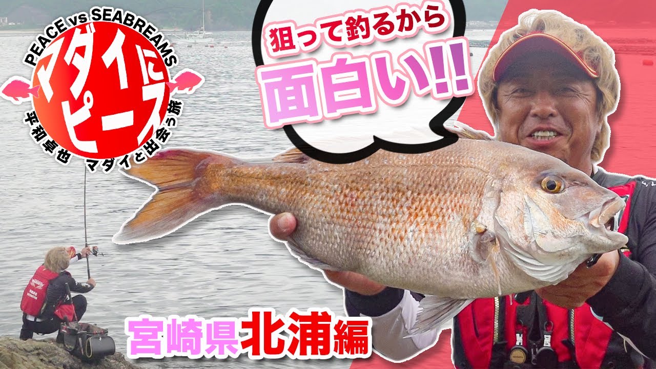 【平和卓也】マダイと出会う旅#3～宮崎県北浦編