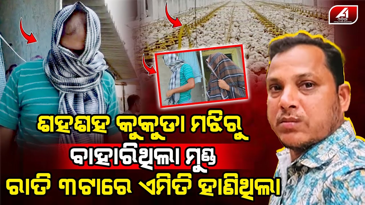ସାଙ୍ଗ ହେଇ କୁକୁଡ଼ା ବେପାର କରୁଥିବା ସାଙ୍ଗଟା ସେଇ କୁକୁଡ଼ା ଫାର୍ମ ଭିତରେ ସାଙ୍ଗର ଜୀବନ ନେଇଗଲା l BHADRAK NEWS l
