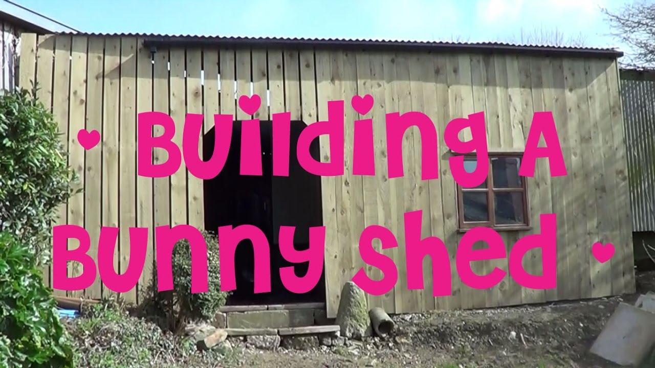 Building The New Bunny Shed | Shed Tour 🐰🐇