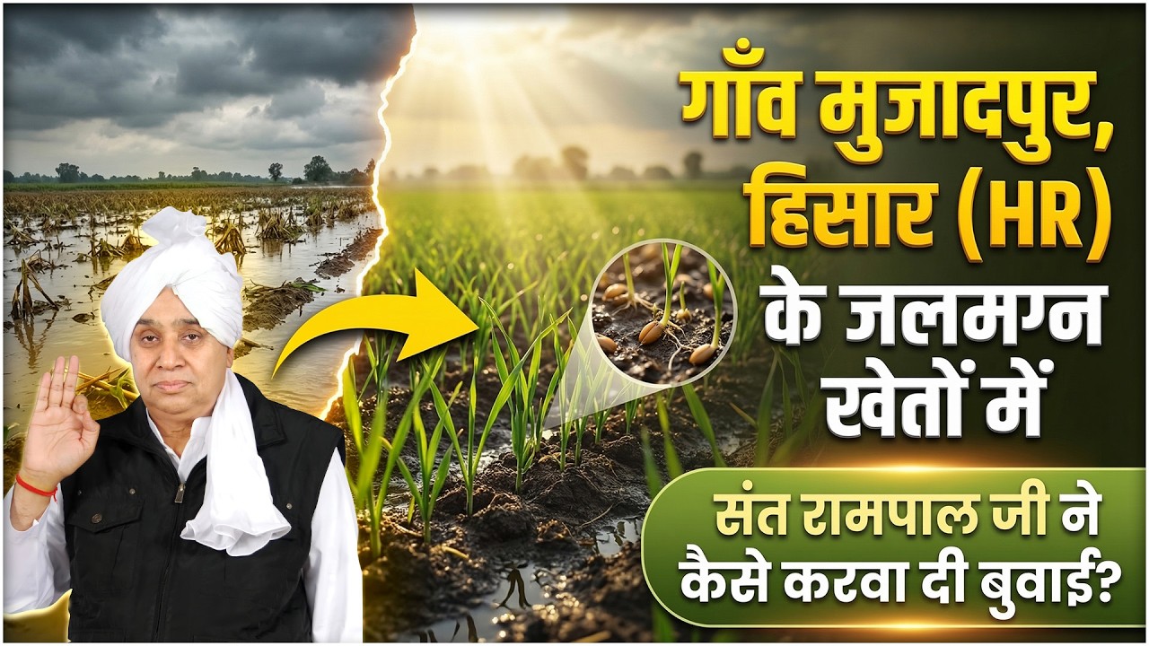 यकीन करना मुश्किल है - मुजादपुर, हिसार (HR) के जलमग्न खेतों में संत रामपाल जी ने कैसे करवाई बुवाई?