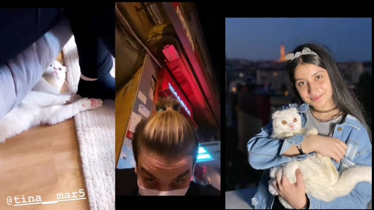 تينا نزلت صورة مع خالة قمر 😍❤️وتينا دوم تخرب فيديو نورمار 😂نورمار ربط شعرو زي بنات 😍❤️