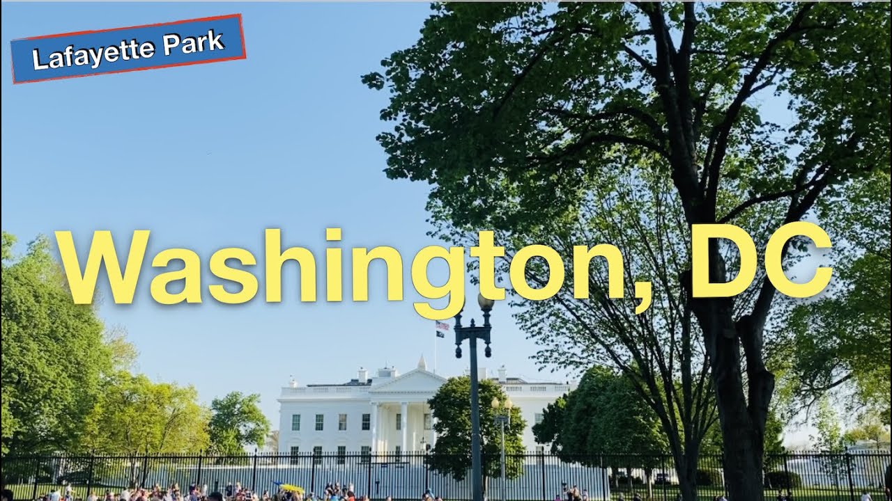 🇺🇸DC《Lafayette Park🌳Beautiful Trees》