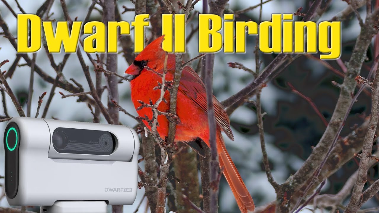 Bird watching with the Dwarf 2 Smart Telescope from DwarfLabs