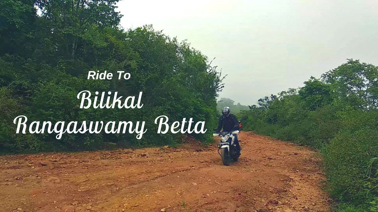 Bilikal Rangaswamy Betta | Sangama | Foggy Morning | Honda Hornet 160R