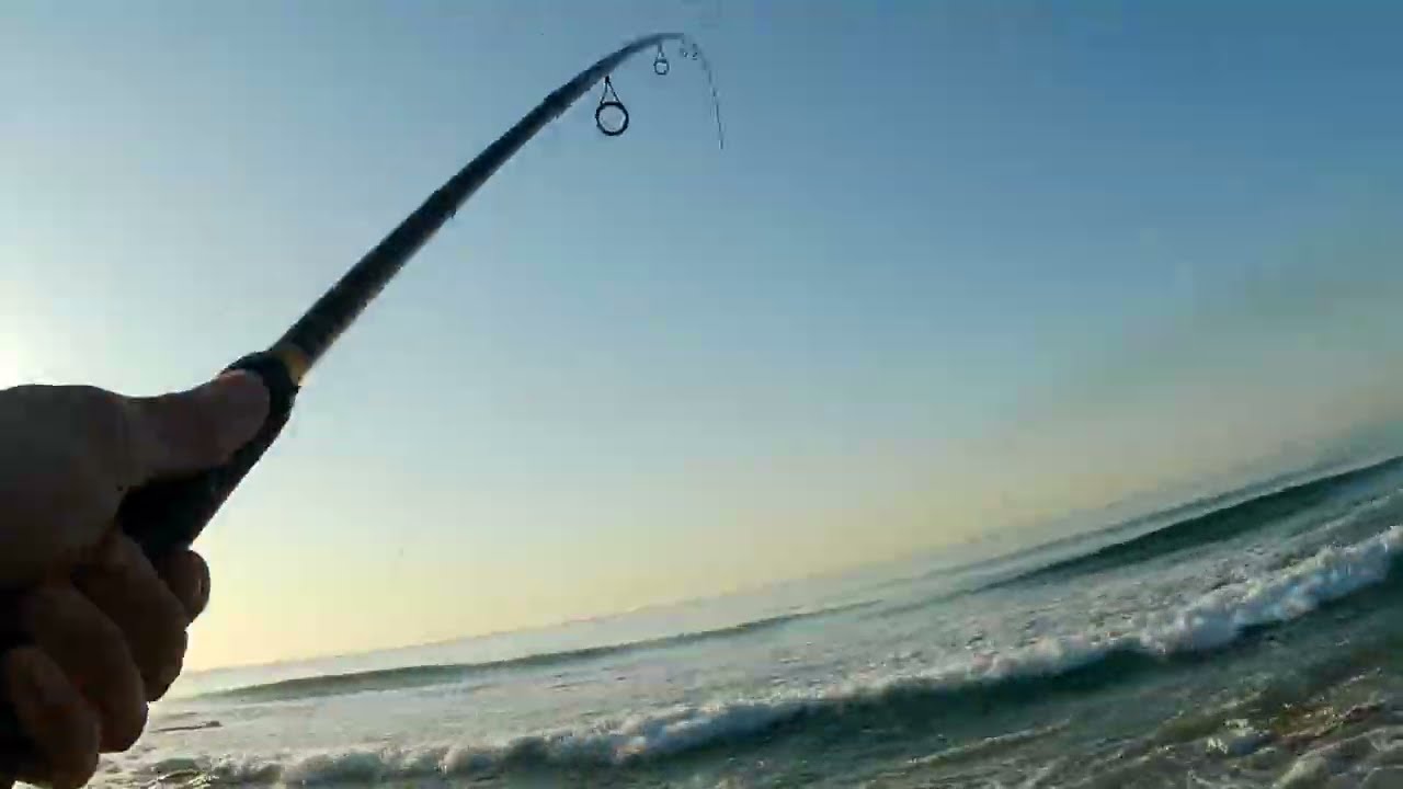 Warner beach shad and ultra light session.