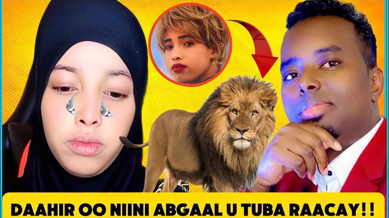 FADEEXO:DAAHIR ALASOW OO NIINI DANCE ABGAAL U TUBA RAACAY MAXKAMADA DAAHIR…