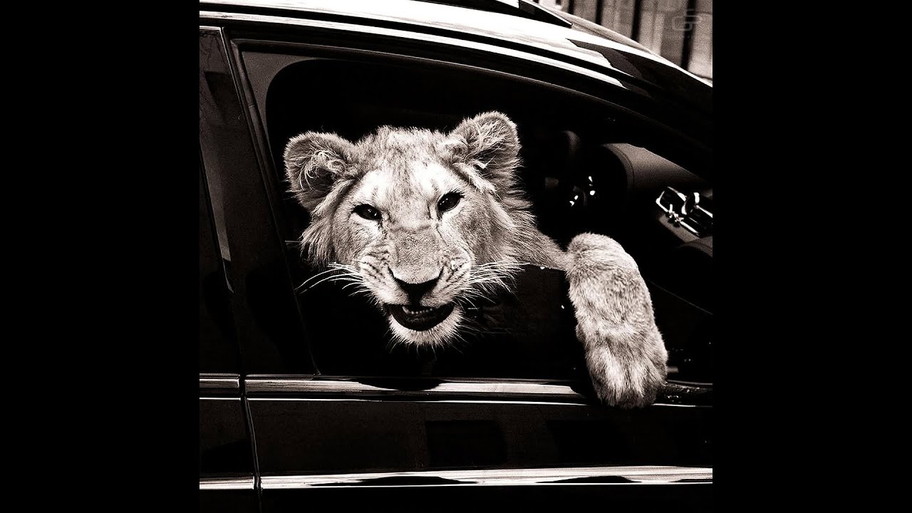 [SOLD] MACAN x KILIANA x JAKONE Type Beat - 