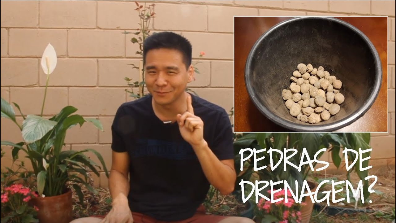 Seu vaso n&atilde;o precisa disso - As pedras de drenagem