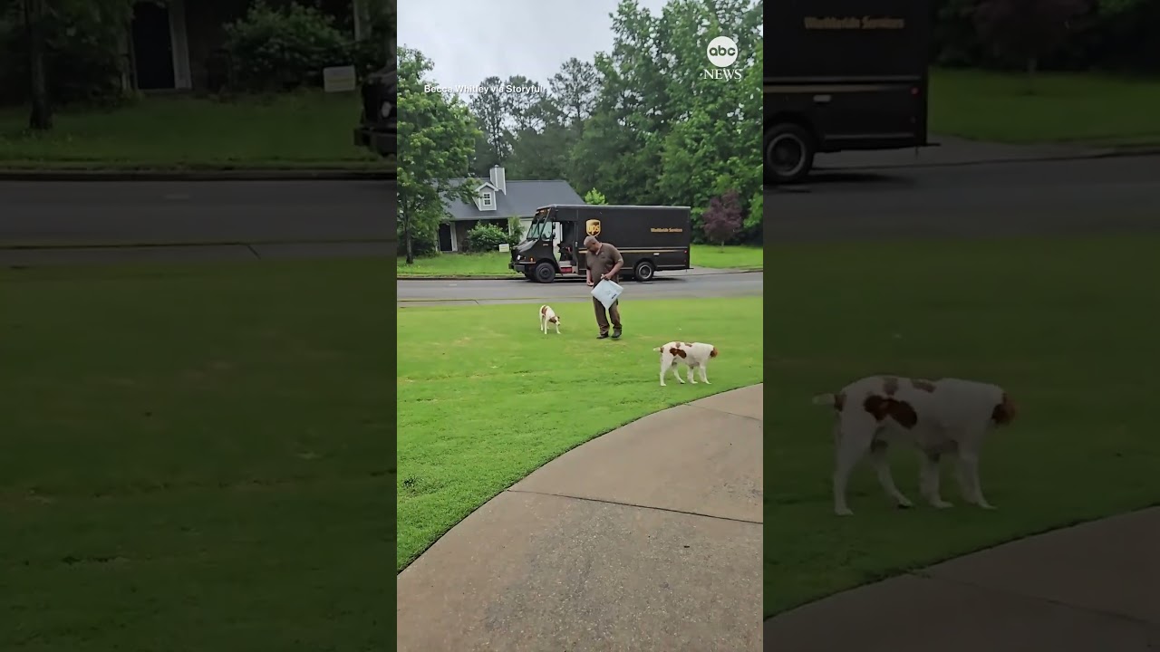 UPS driver gets emotional as he says goodbye to dogs he bonded with for over a decade