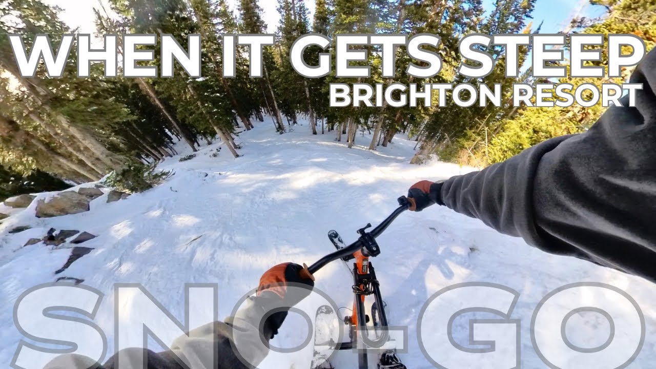 My MTB is getting JEALOUS😏- SNO-GO Ski Bike