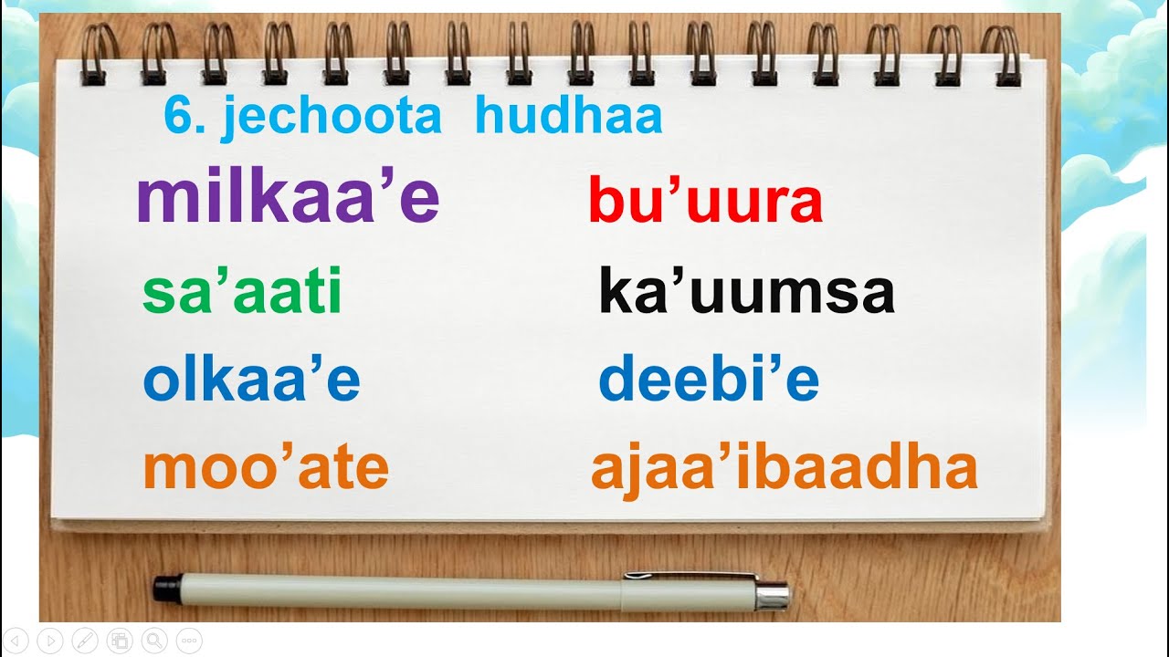 jechoota  hudhaa  haala  salphaan  dubbisaa